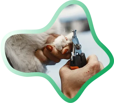 luxury grooming shape