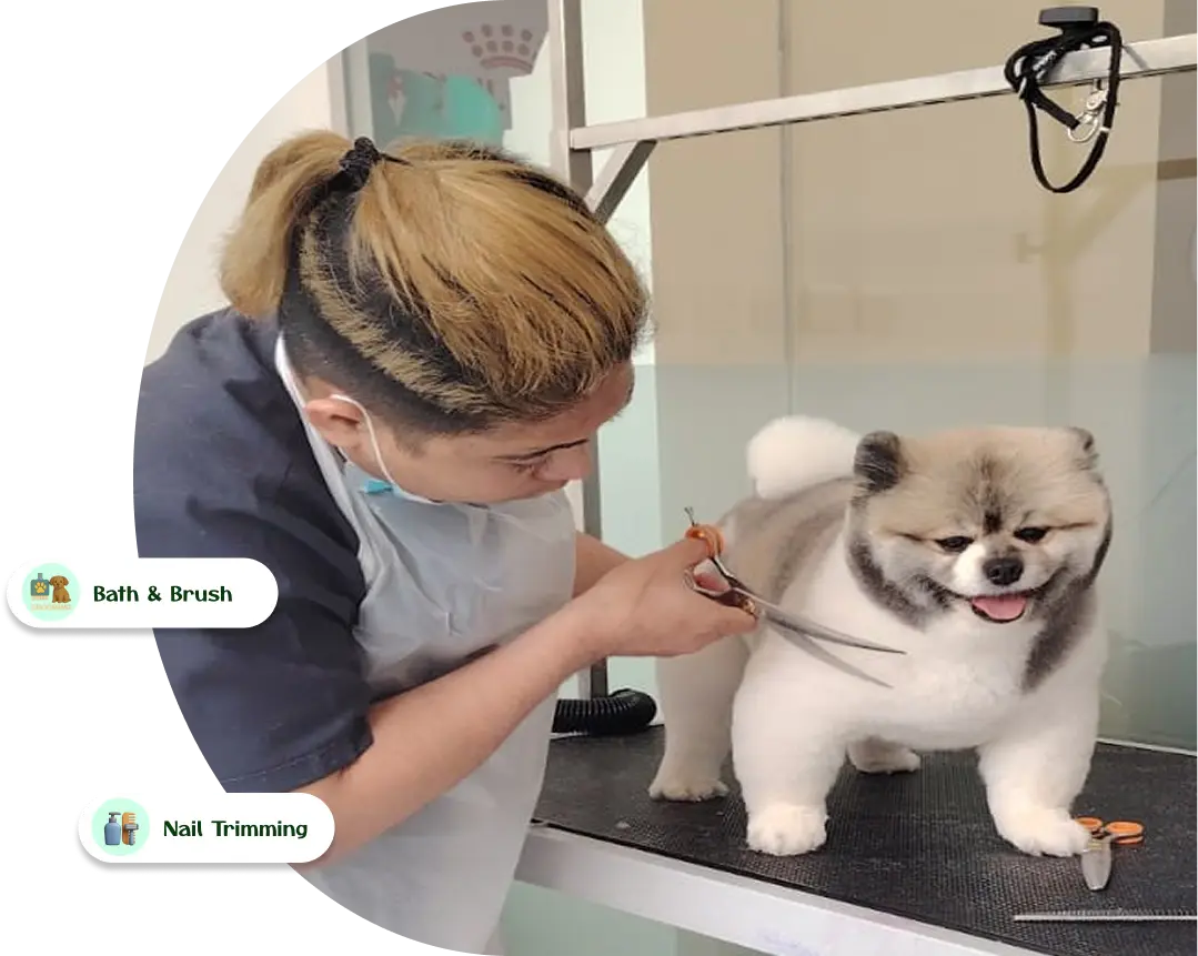 groomin service